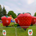 Berry-Go-Round